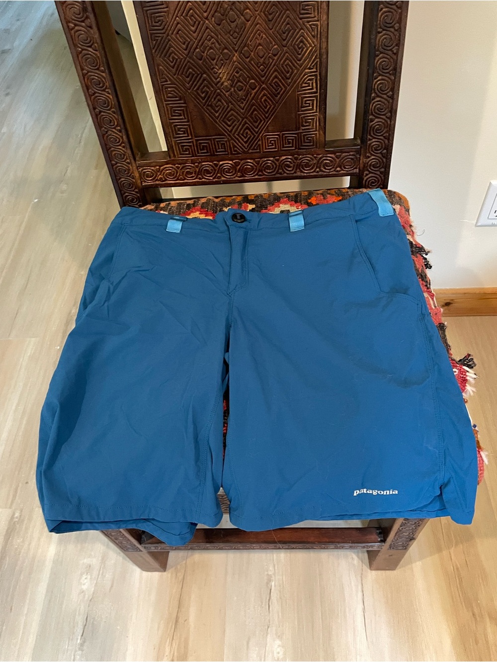 Patagonia Men's Blue Outdoor Shorts